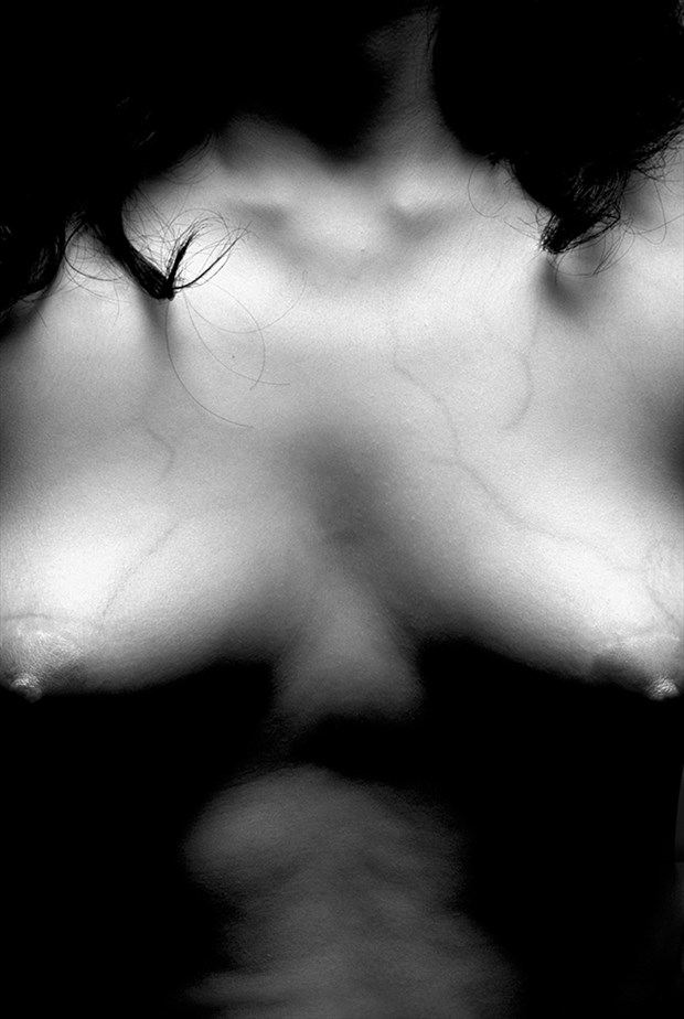 Artistic Nude Abstract Photo by Photographer Ricardo J Garibay