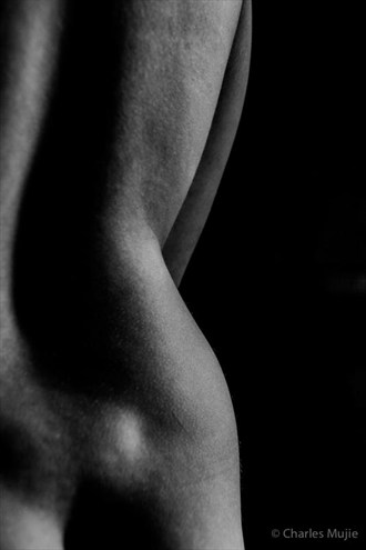 Artistic Nude Abstract Photo by Photographer charlesmatthew