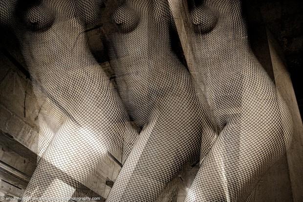 Artistic Nude Abstract Photo by Photographer erics