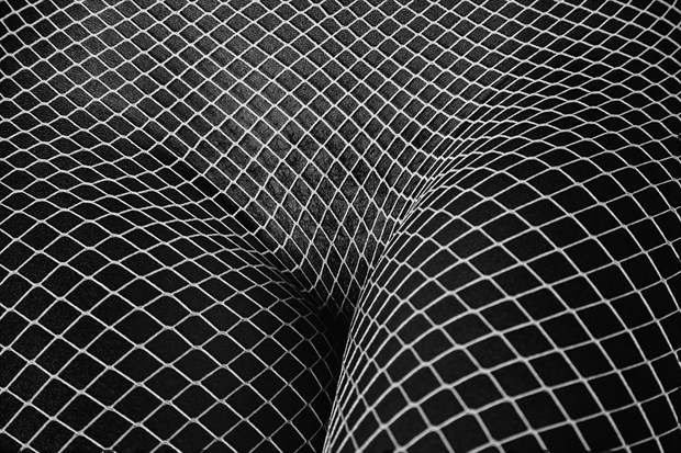 Artistic Nude Abstract Photo by Photographer lancepatrickimages