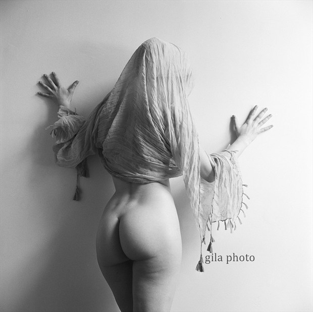 Artistic Nude Alternative Model Photo by Model Laina V