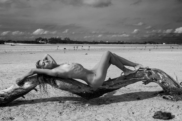 Artistic Nude Artwork by Photographer Daniel Baraggia