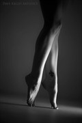 Artistic Nude Artwork by Photographer Dave Kelley Artistics