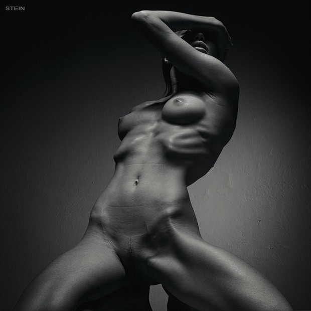 Artistic Nude Artwork by Photographer STEIN