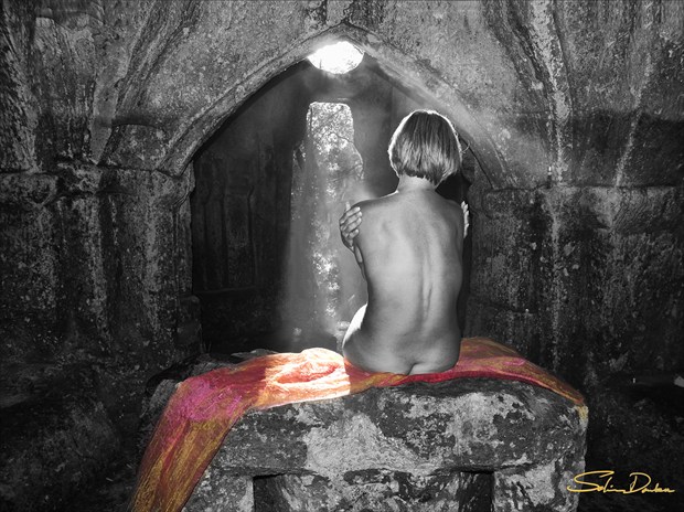 Artistic Nude Artwork by Photographer Salim
