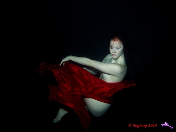 Artistic Nude Bikini Photo by Photographer Bogfrog