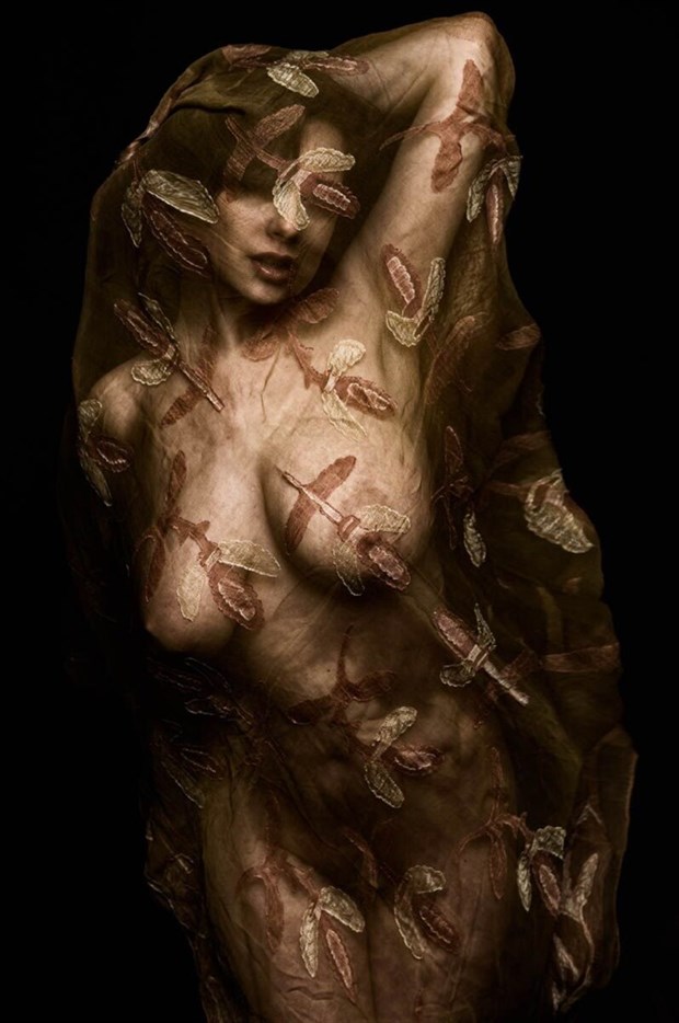 Artistic Nude Chiaroscuro Photo by Model Sarah Faire