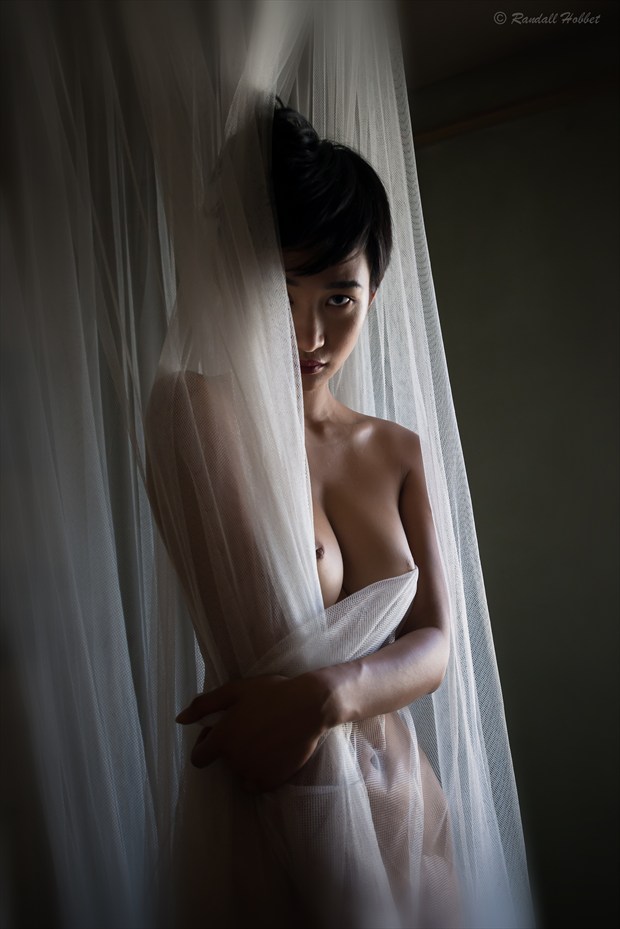 Artistic Nude Chiaroscuro Photo by Photographer Randall Hobbet