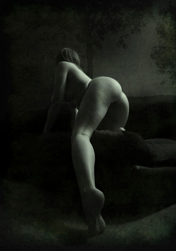 Artistic Nude Chiaroscuro Photo by Photographer digitalpsam