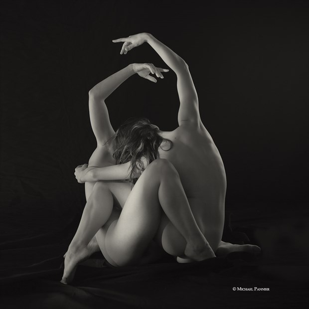 Artistic Nude Couples Photo by Photographer MIchael Pannier