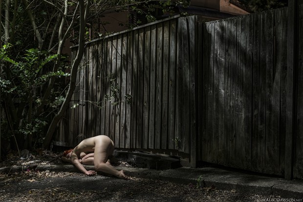 Artistic Nude Erotic Artwork by Photographer Alec Dawson