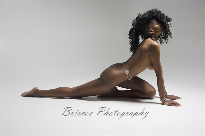 Artistic Nude Erotic Artwork by Photographer Briscoe