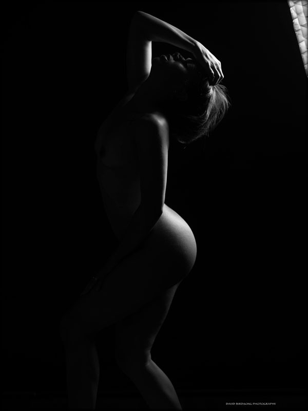 Artistic Nude Erotic Photo by Model E.Lane