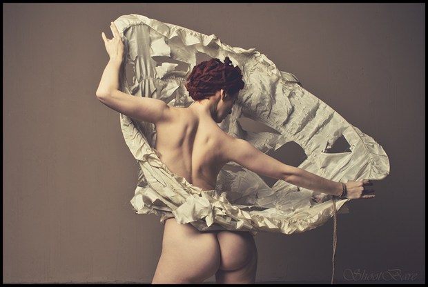 Artistic Nude Erotic Photo by Model Laina V