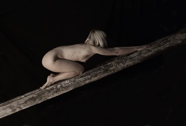 Artistic Nude Erotic Photo by Photographer Anemos