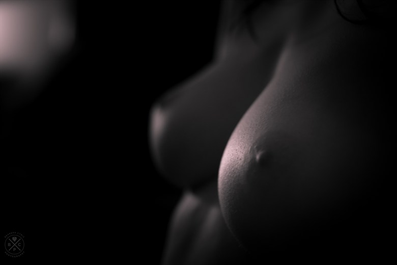 Artistic Nude Erotic Photo by Photographer BeardedCynicPhotography