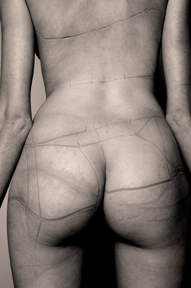 Artistic Nude Erotic Photo by Photographer Terry Slater