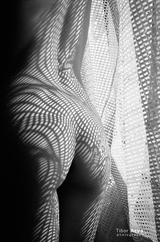 Artistic Nude Erotic Photo by Photographer Tibor Arva