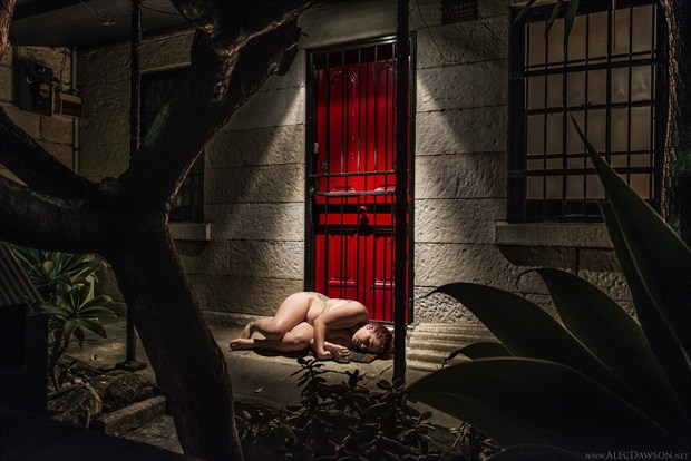 Artistic Nude Experimental Artwork by Photographer Alec Dawson