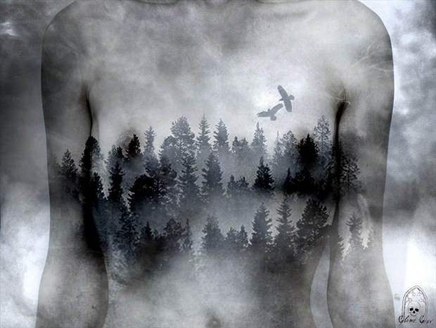 Artistic Nude Fantasy Artwork by Model Glemt Grav