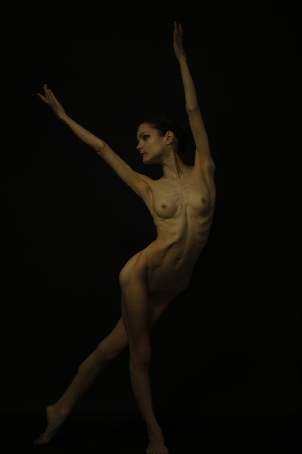 Artistic Nude Figure Study Artwork by Photographer Ven