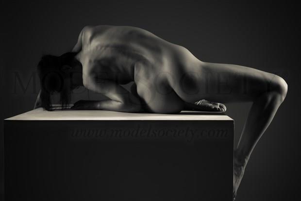 Artistic Nude Figure Study Artwork by Photographer mozinwrat