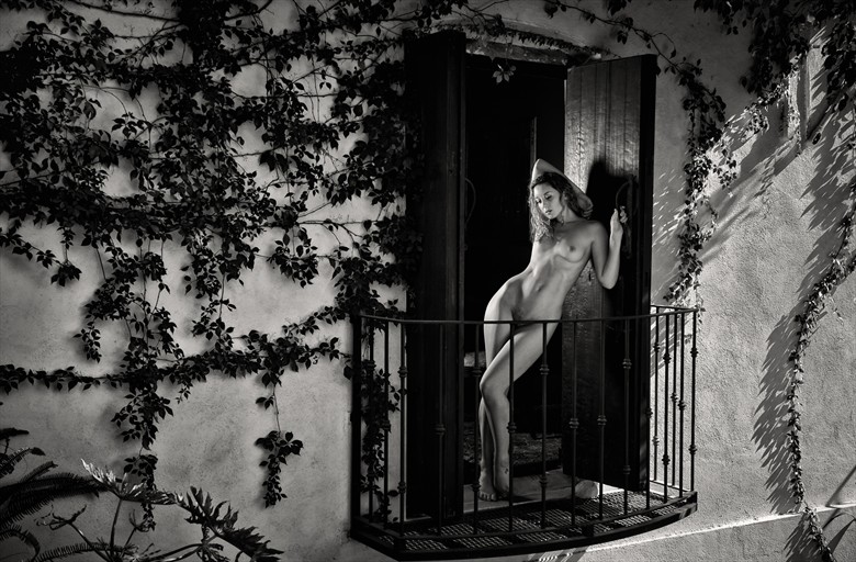 Artistic Nude Figure Study Photo by Photographer CamAttree
