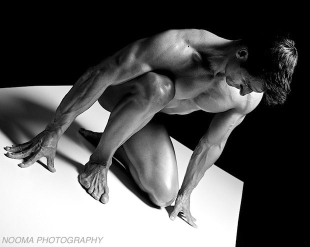 Artistic Nude Figure Study Photo by Photographer Nooma Photography