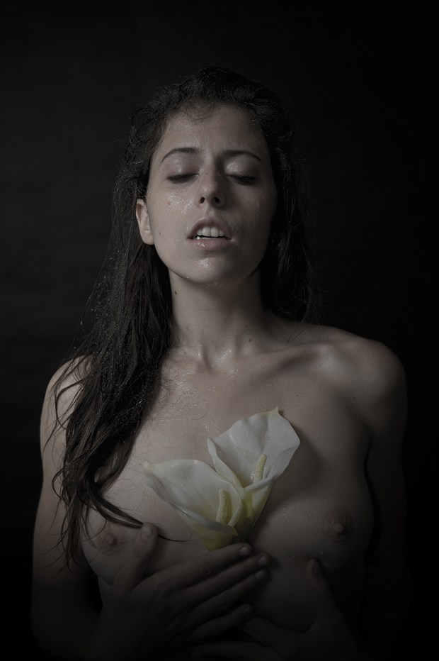 Artistic Nude Figure Study Photo by Photographer Paul Williamson
