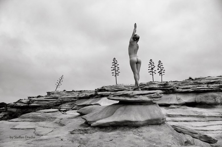 Artistic Nude Figure Study Photo by Photographer drachenphoto