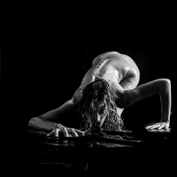 Artistic Nude Glamour Artwork by Photographer Daniel Baraggia