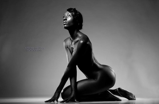 Artistic Nude Glamour Photo by Model Bronzed.In.Beauty