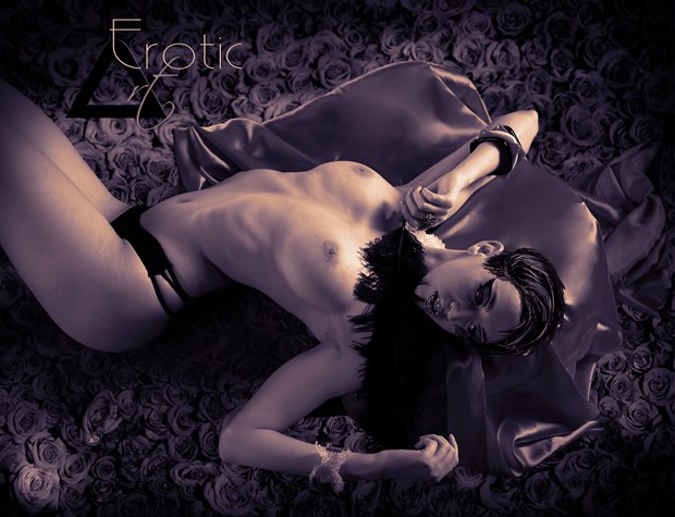 Artistic Nude Glamour Photo by Photographer ArtErotic