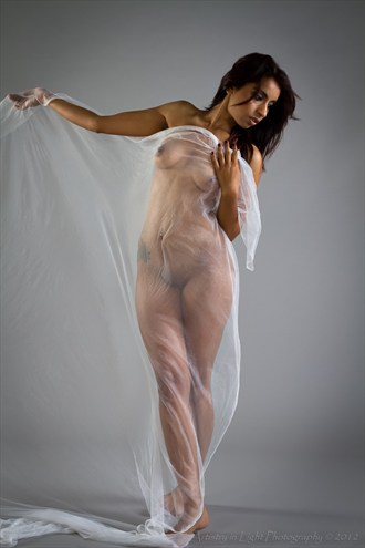 Artistic Nude Glamour Photo by Photographer Artistry in Light