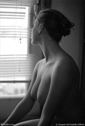 Artistic Nude Glamour Photo by Photographer Michelle7.com