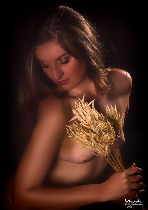 Artistic Nude Glamour Photo by Photographer Visuals