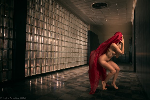 Artistic Nude Glamour Photo by Photographer felix martin