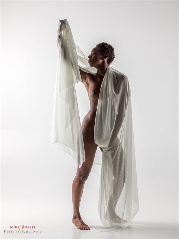 Artistic Nude Glamour Photo by Photographer mehamlett