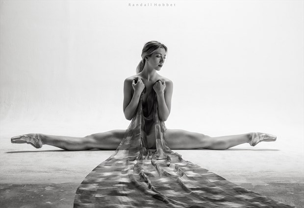 Artistic Nude Implied Nude Photo by Model PoppySeed Dancer