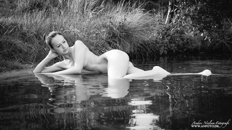 Artistic Nude Implied Nude Photo by Photographer Anders Nielsen