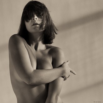 Artistic Nude Implied Nude Photo by Photographer Art Silva