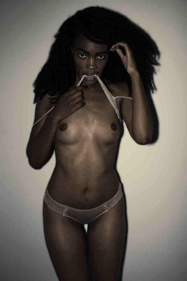 Artistic Nude Lingerie Photo by Model Tea