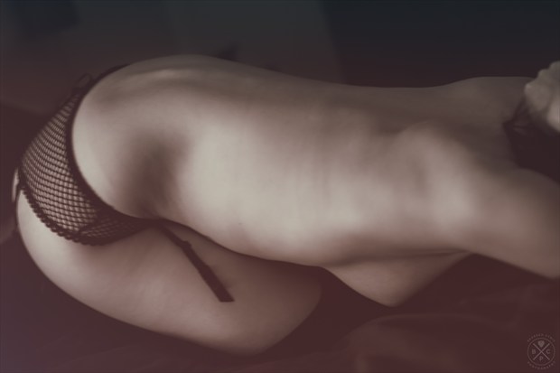 Artistic Nude Lingerie Photo by Photographer BeardedCynicPhotography