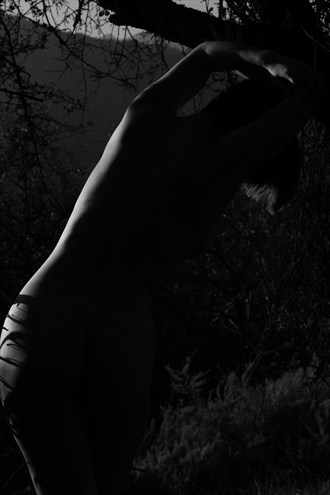 Artistic Nude Natural Light Artwork by Photographer Amateur exploits 