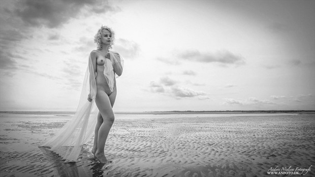Artistic Nude Natural Light Photo by Photographer Anders Nielsen