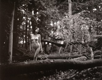Artistic Nude Natural Light Photo by Photographer Fabien Queloz