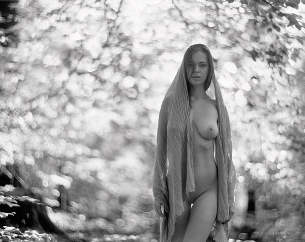 Artistic Nude Natural Light Photo by Photographer Fabien Queloz