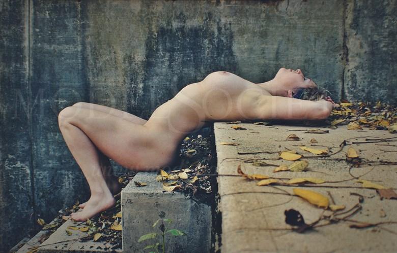 Artistic Nude Nature Artwork by Artist The Abandoned Dream