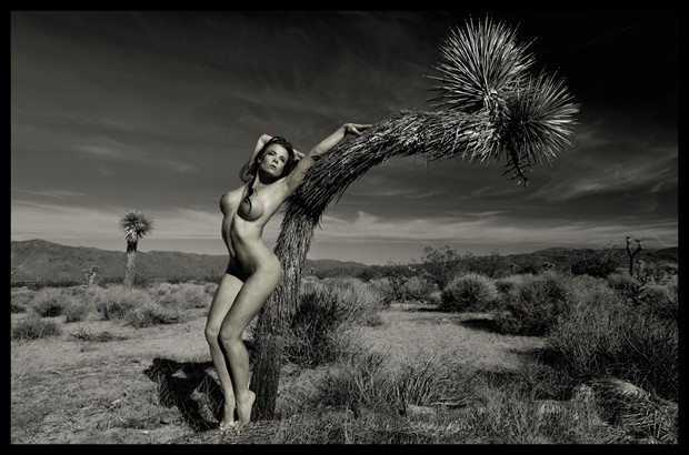 Artistic Nude Nature Artwork by Model Ceara Blu