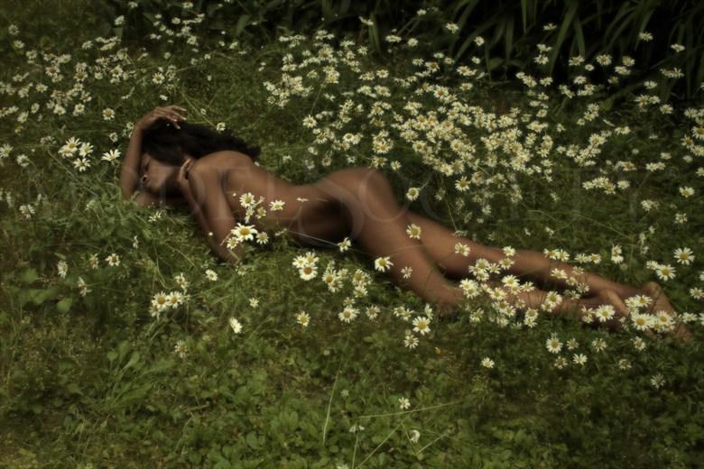 Artistic Nude Nature Artwork by Model Gazelle 